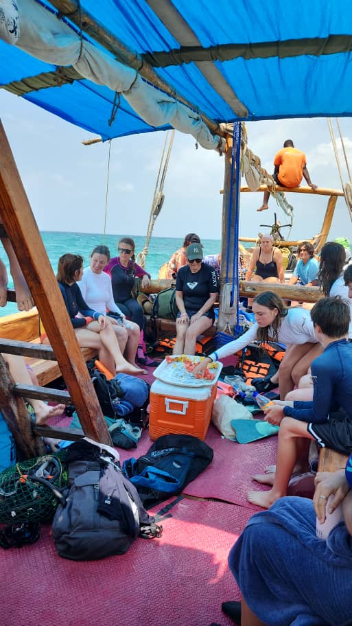 Swimming With Turtles & Sunset Dhow Cruise gallery 6